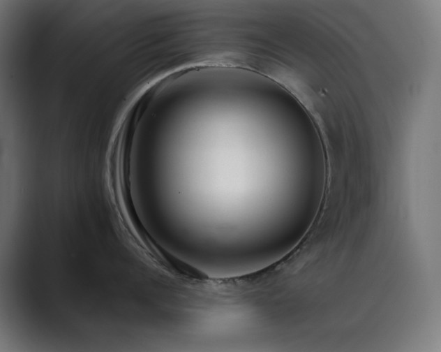 X0000089960960200706291227
