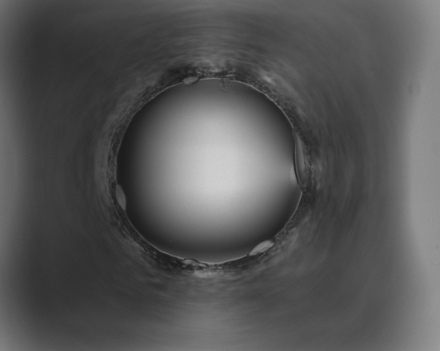 X0000089960961200706291226