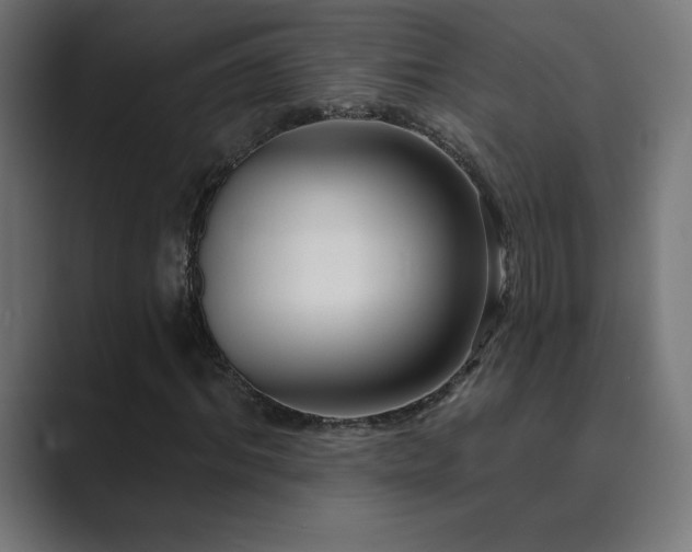 X0000089960964200706291226