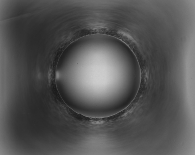 X0000089960965200706291226