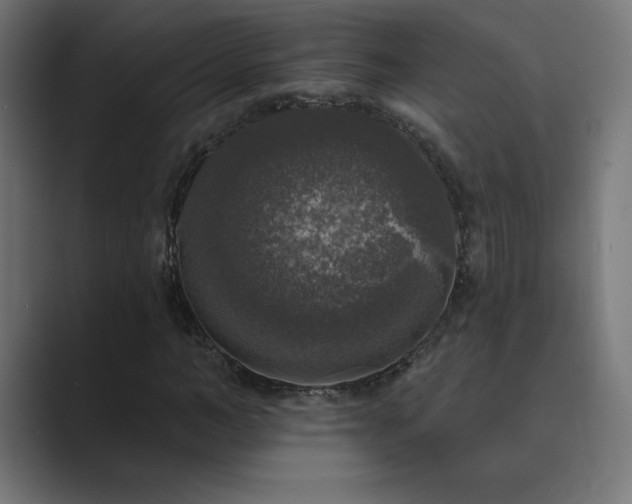 X0000089960966200706291226