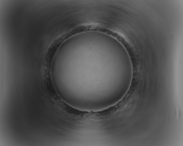 X0000089960967200706291226