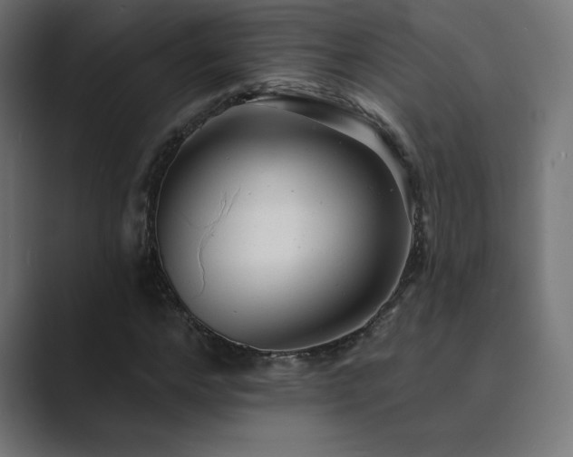 X0000089960968200706291226