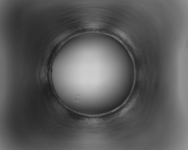 X0000089960970200706291226