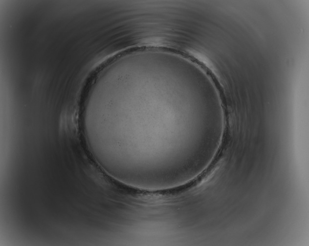 X0000089960971200706291226
