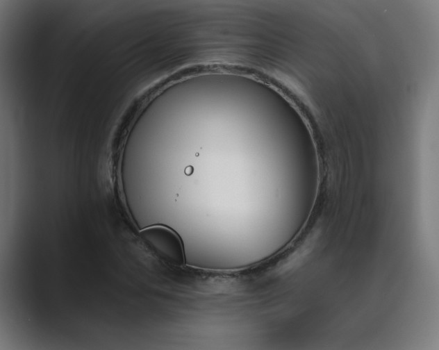 X0000089960974200706291226