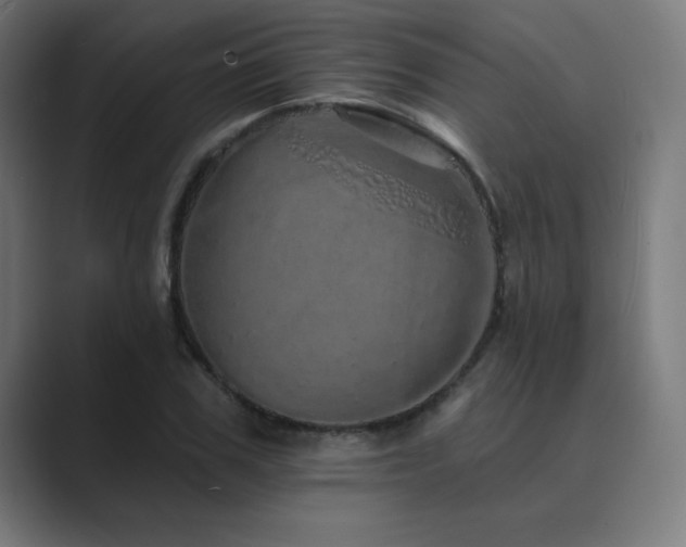 X0000089960979200706291226