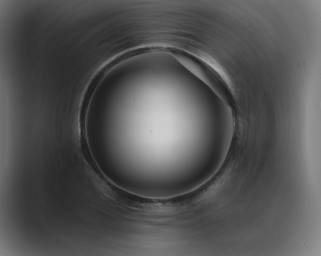X0000089960980200706291226