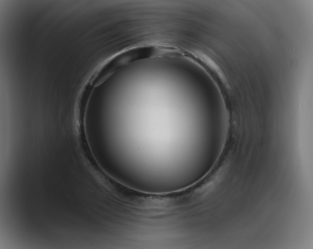 X0000089960981200706291226