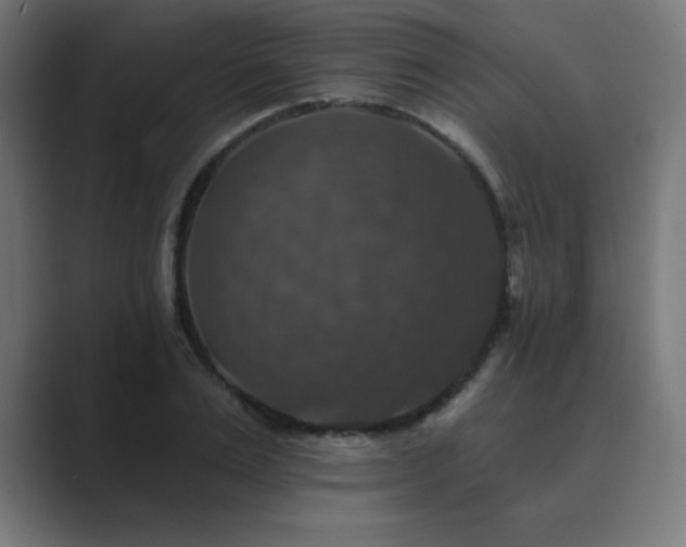 X0000089960983200706291226