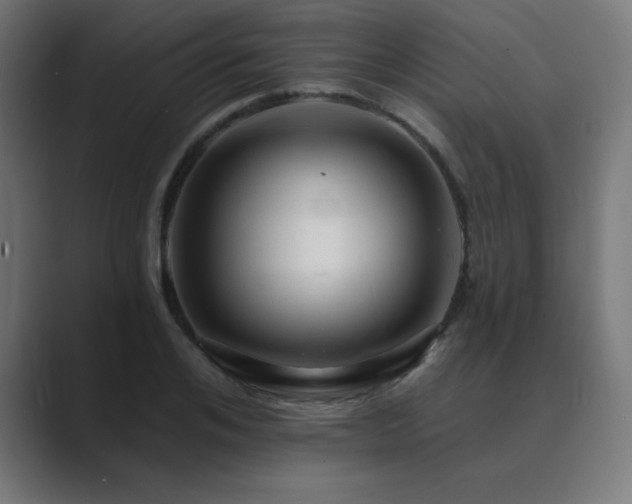 X0000089960984200706291226