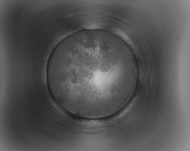 X0000089960986200706291226