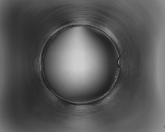 X0000089960988200706291226