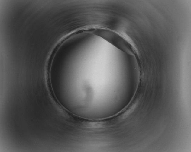 X0000089960989200706291226