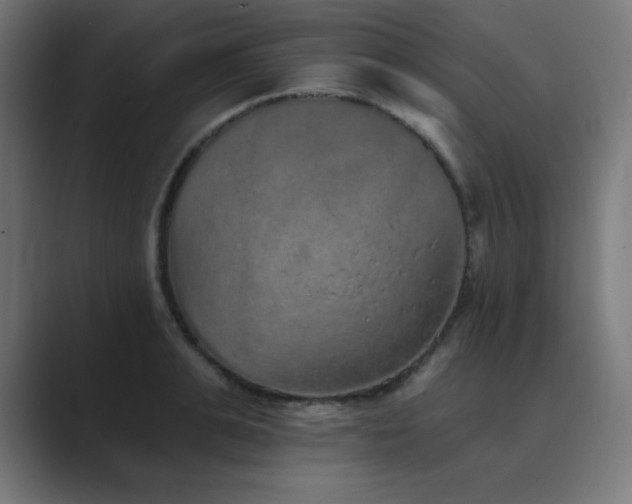 X0000089960991200706291226