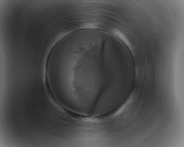 X0000089960994200706291226