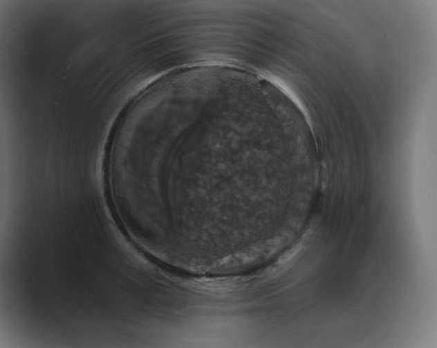 X0000089960995200706291226