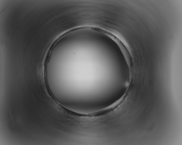 X0000089960996200706291226