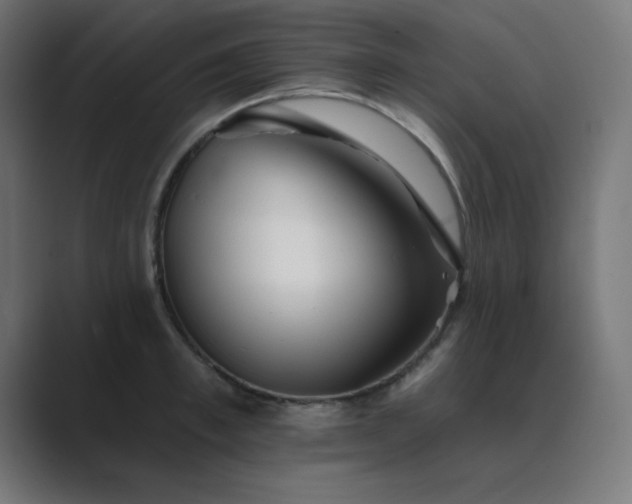X0000089960997200706291226
