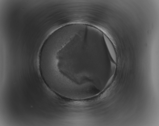 X0000089960998200706291226