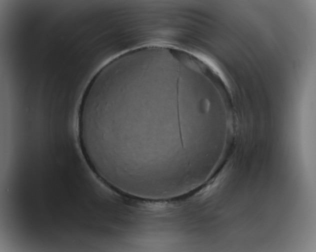 X0000089960999200706291226
