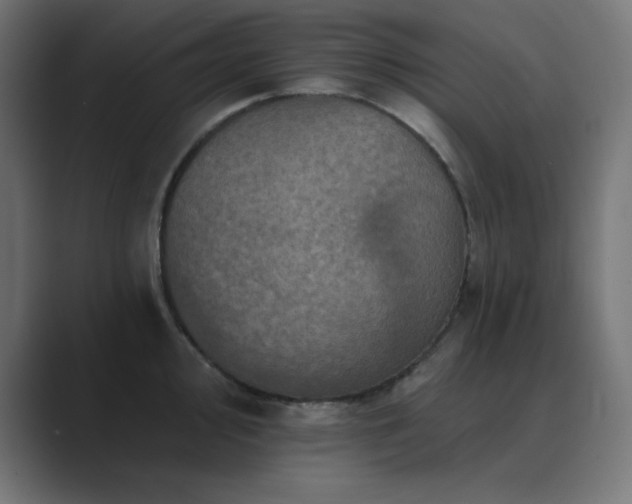 X0000089961000200706291226