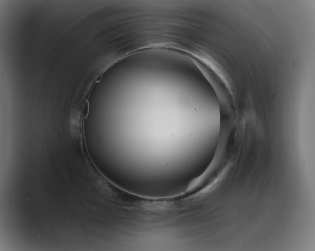 X0000089961001200706291226