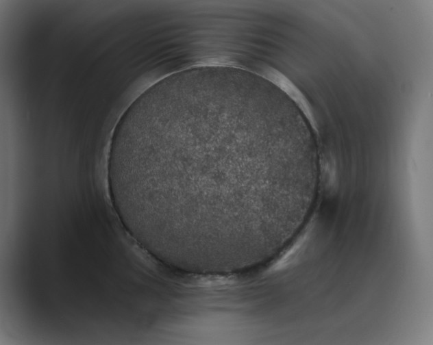 X0000089961002200706291226