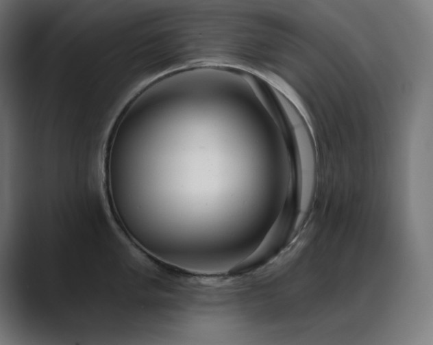X0000089961005200706291226