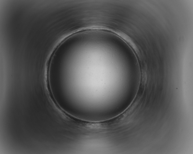 X0000089961006200706291226