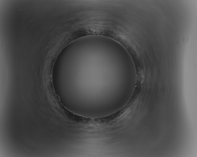 X0000089961009200706291225