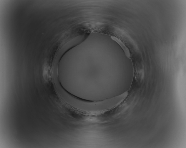 X0000089961010200706291225