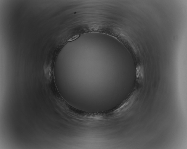X0000089961011200706291225