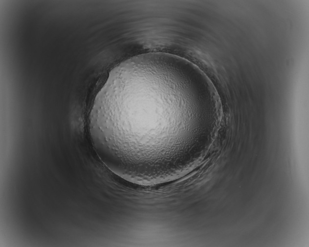 X0000089961012200706291225