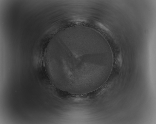 X0000089961014200706291225