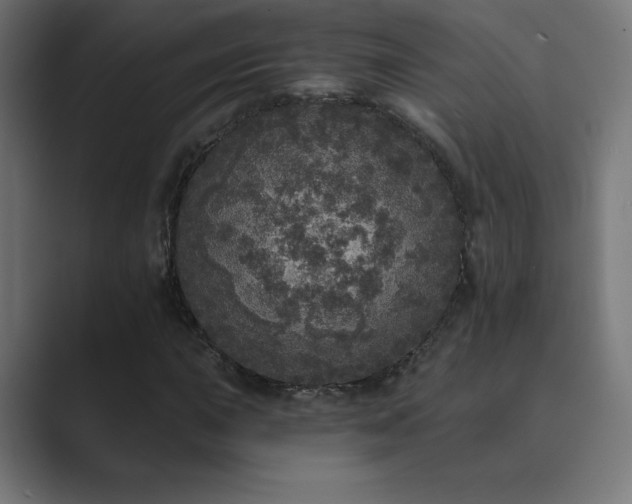 X0000089961015200706291225