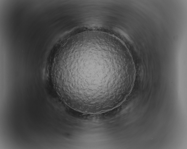 X0000089961016200706291225