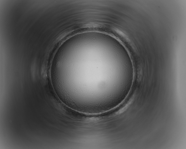 X0000089961017200706291225