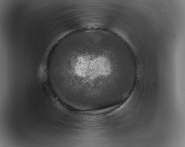 X0000089961018200706291225