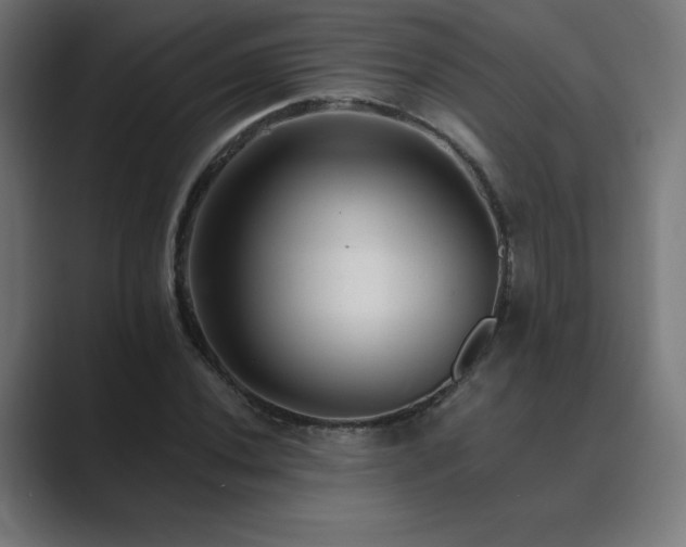 X0000089961020200706291225