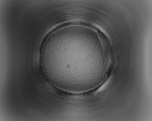 X0000089961021200706291225