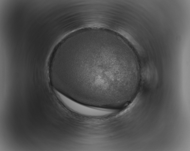 X0000089961022200706291225