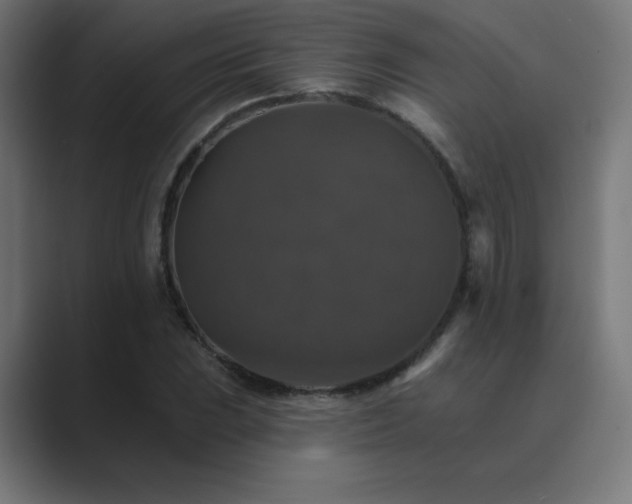 X0000089961023200706291225