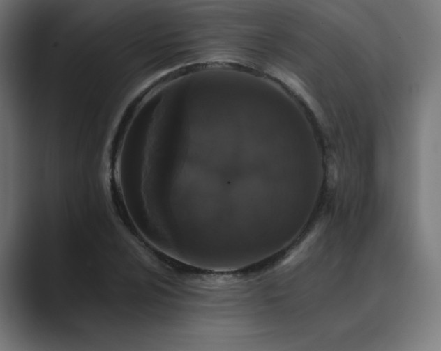 X0000089961024200706291225