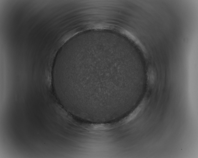 X0000089961025200706291225