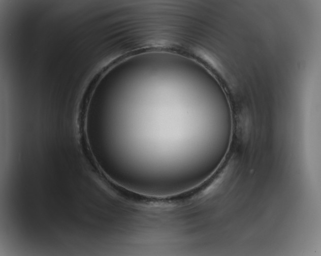 X0000089961026200706291226