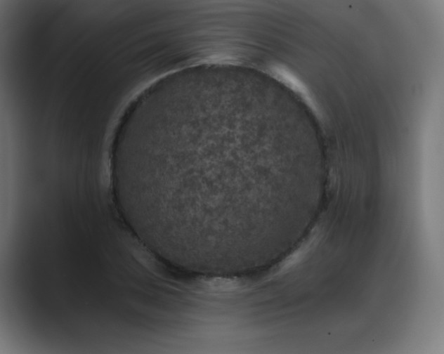 X0000089961027200706291226