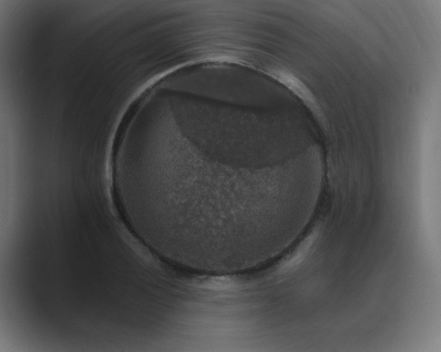 X0000089961028200706291226