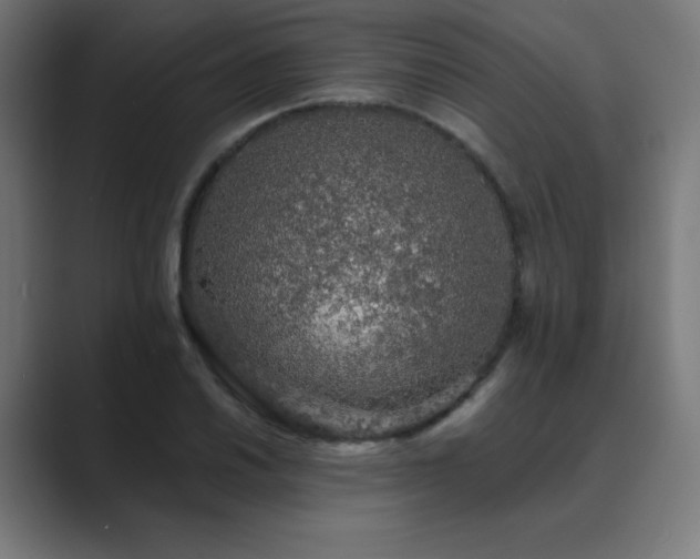 X0000089961030200706291226