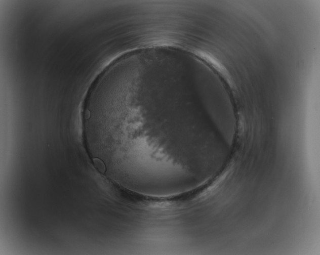 X0000089961031200706291226